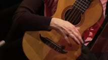 A Viola de Arame e o Violão Brasileiro